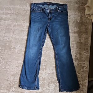 Torrid Blue Boot Cut Jeans with Faded Detail